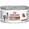 ROYAL CANIN RECOVERY 165G