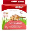BIOLINE CAT GRASS KIT