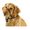 DOG HEAD COLLAR ANTITIRONES TALLA XL