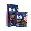 Brit Premium Junior Small